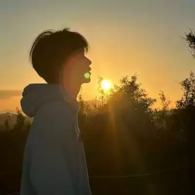 靳高妍